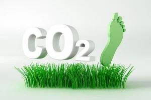 Karbon Ayak İzi Nedir? Neden Önemlidir? 